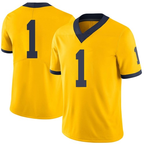 Nico Collins Michigan Wolverines Youth NCAA #1 Maize Limited Brand Jordan College Stitched Football Jersey JJC3554NT